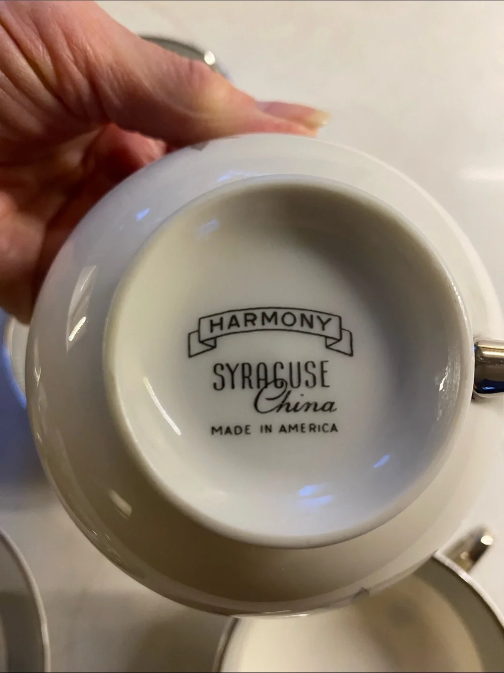 Harmony • Syracuse China • 10 tea cups and saucers + 10 dessert bowls